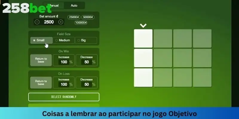 Existem algumas notas que você deve ter em mente para jogar com mais segurança e eficácia